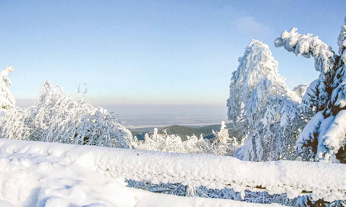Accommodation Viechtach | Schlatzendorf