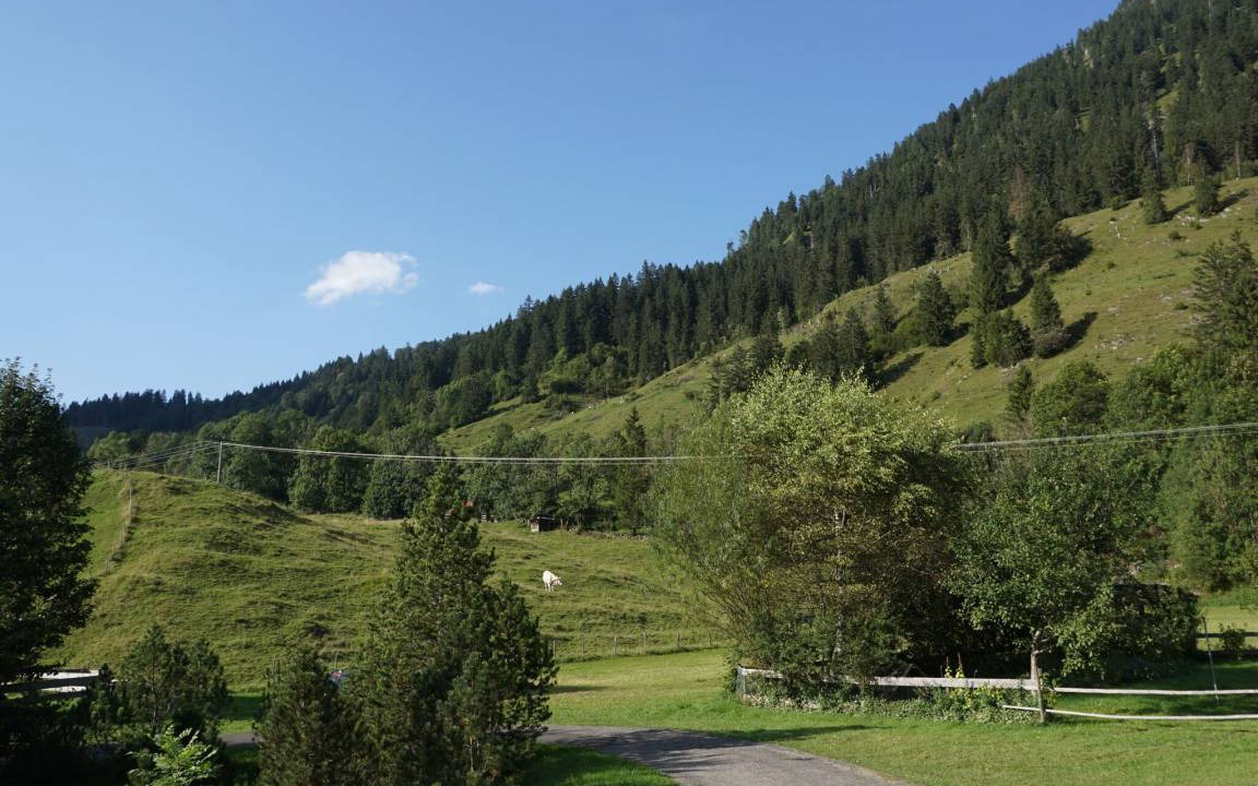 Hinterstein Apartment | 100 m² Apartment ∙ 2 bedrooms ∙ 6 guests