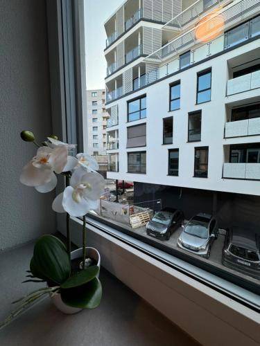 Rosenheim Bed & Breakfast | 15 m² Bed and breakfast ∙ 2 guests