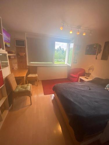 Neuperlach Apartment | 1Raumwohnung in Neuperlach