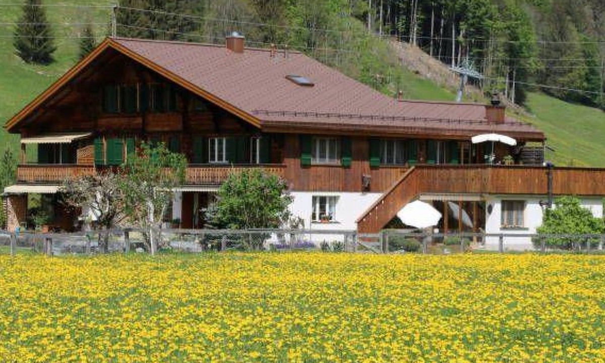 Gstaad Apartment | 2-Bettwohnung by Interhome