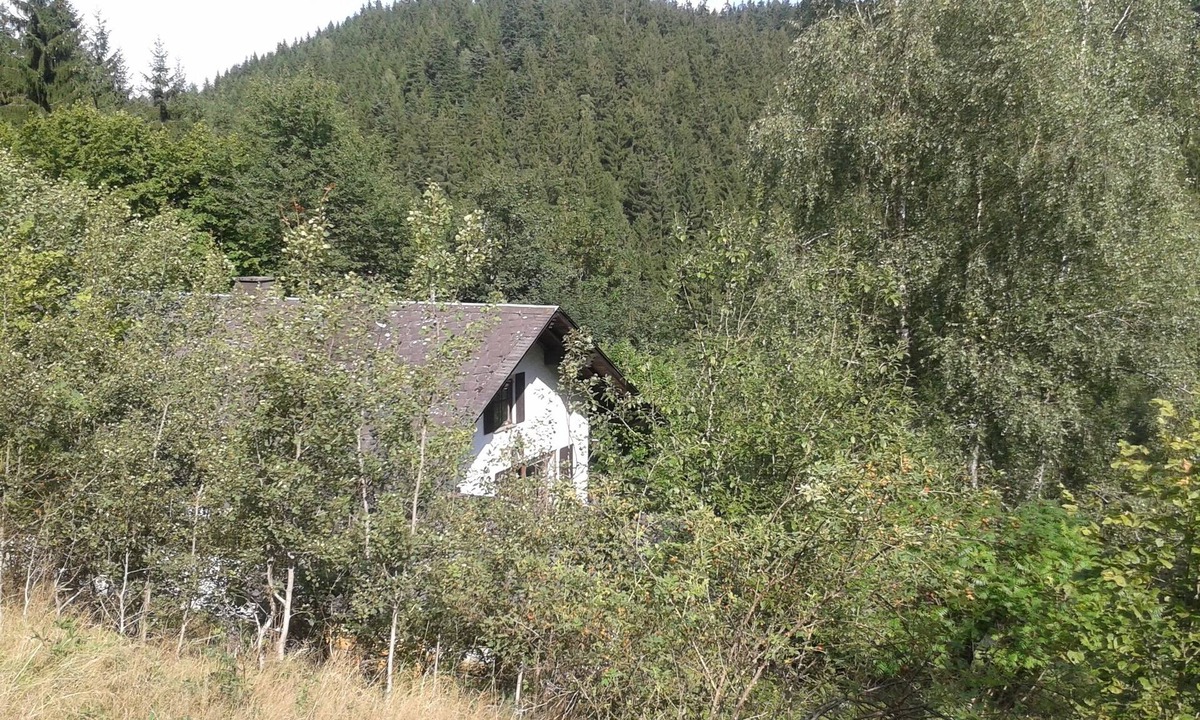 Wilhelmsthal House | 2 houses together. 60 meters wide. In the forest. No neighbor.