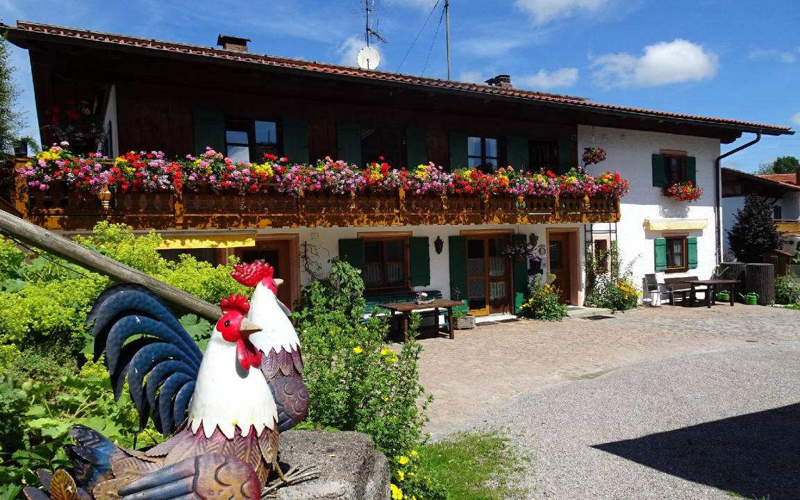 Bad Bayersoien Apartment | 38 m² Apartment ∙ 1 bedroom ∙ 2 guests