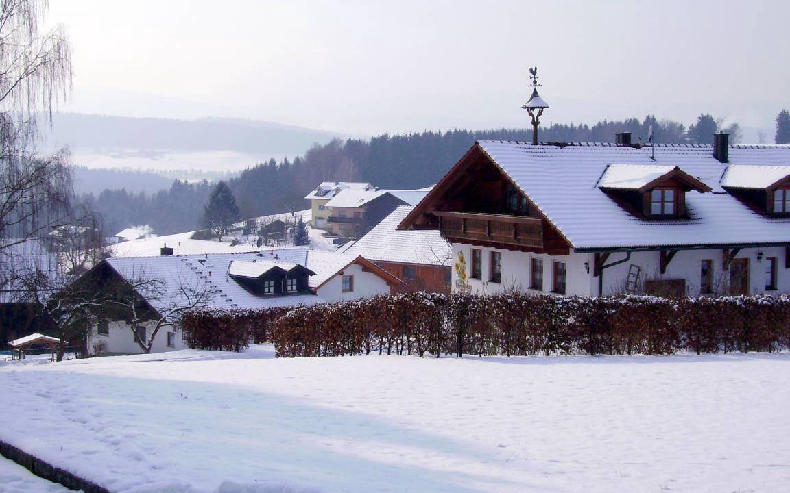 Viechtach Apartment | 45 m² Apartment ∙ 1 bedroom ∙ 3 guests