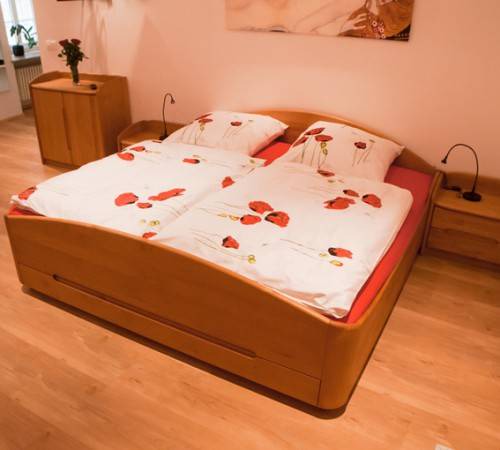 City Centre Regensburg Apartment | 47 m² Apartment ∙ 1 bedroom ∙ 4 guests