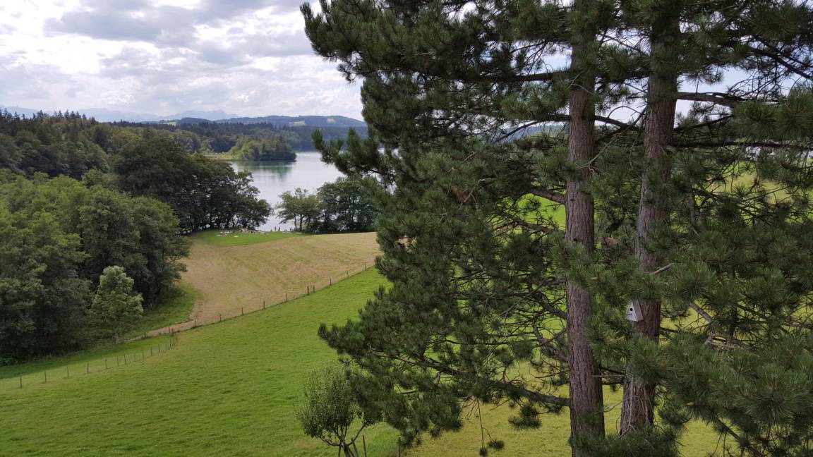 Breitbrunn a. Chiemsee Apartment | 50 m² Apartment ∙ 2 guests
