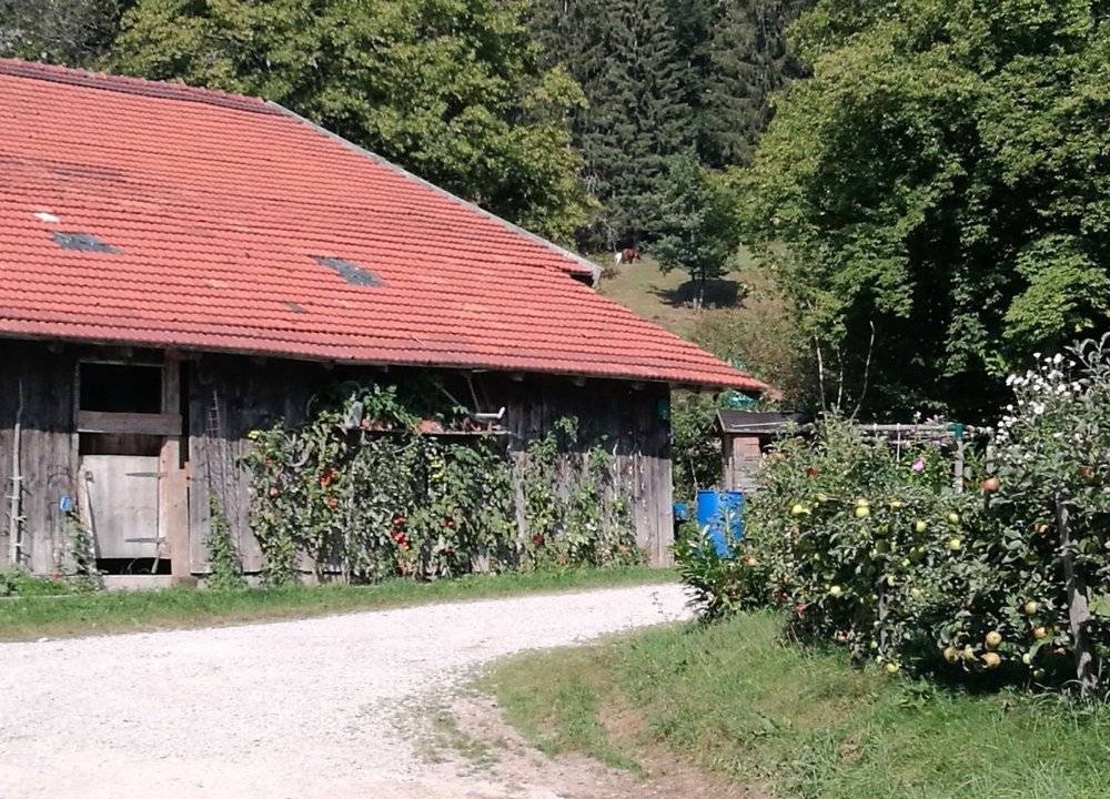 Schleching Apartment | 55 m² Apartment ∙ 2 bedrooms ∙ 4 guests