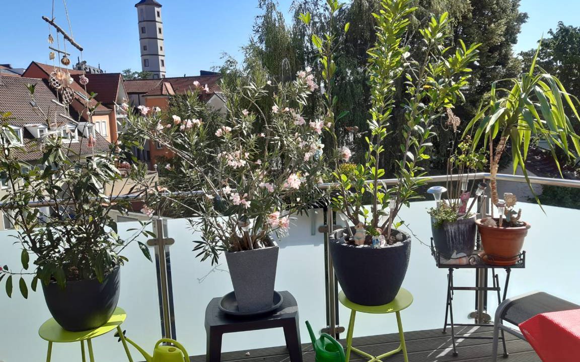 Schweinfurt Apartment | 55 m² Apartment ∙ 1 bedroom ∙ 2 guests