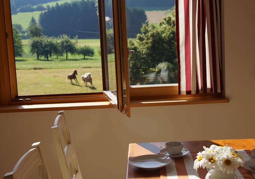 Ruderszell Apartment | 57 m² Apartment ∙ 1 bedroom ∙ 4 guests