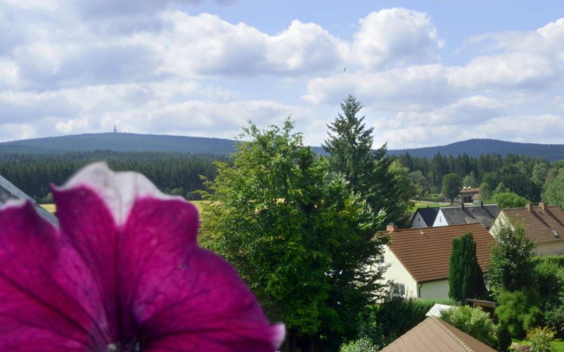 Weissenstadt Apartment | 60 m² Apartment ∙ 1 bedroom ∙ 2 guests