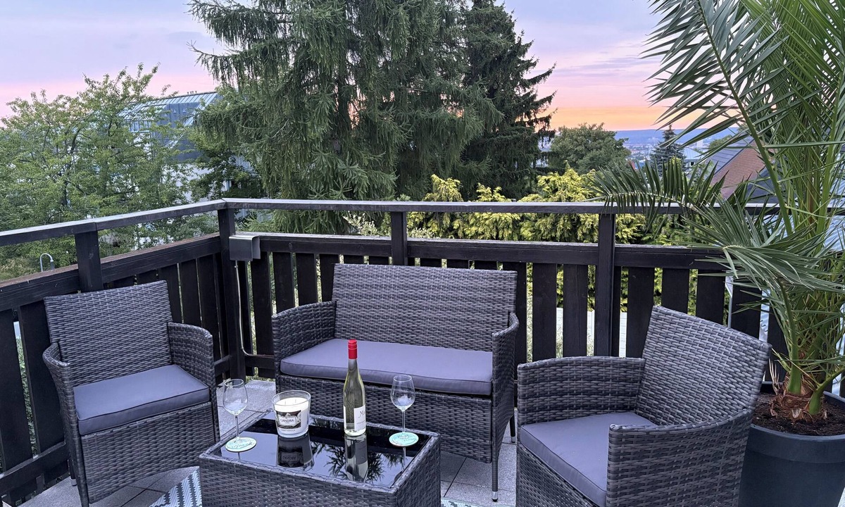 Leubnitz-Neuostra Apartment | 62m² junior suite with castle view and large roof terrace + free parking lot