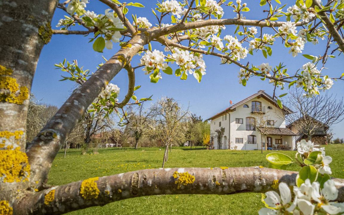 Ebersberg District Apartment | 70 m² Apartment ∙ 2 bedrooms ∙ 5 guests