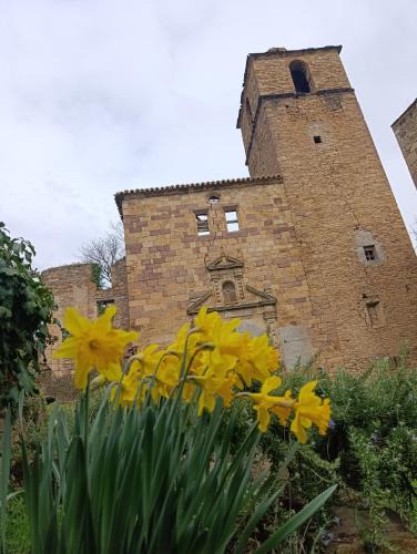 Ruesta Hostel | Albergue de Ruesta