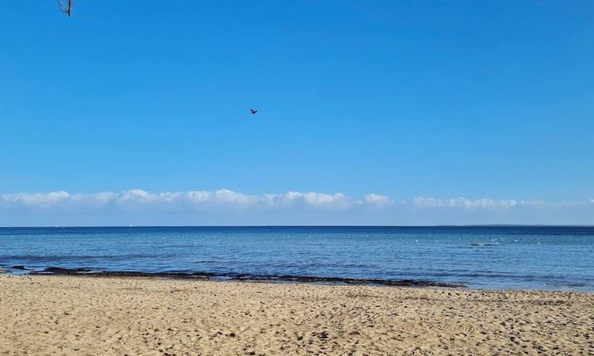 Wohlenberg Apartment | Alcor Hotel Feriendorf an der Ostsee