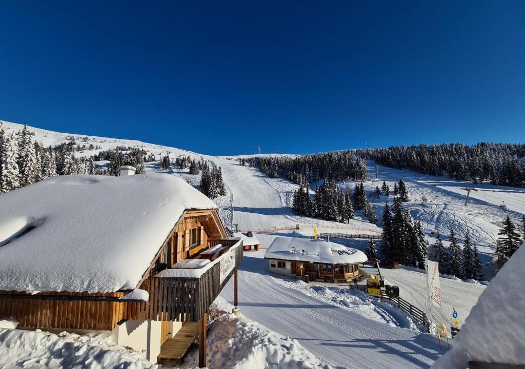 Schoenberg-Lachtal Apartment | Almhütte Lachtal