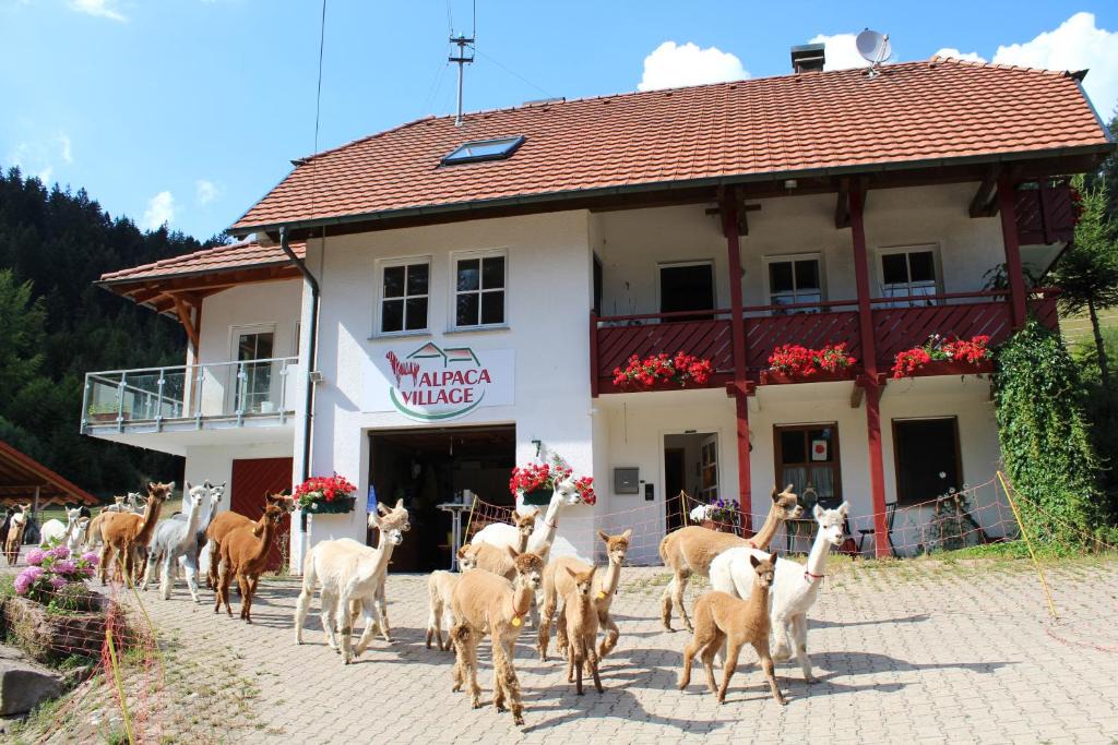 Lauterbach Apartment | Alpaca-Village