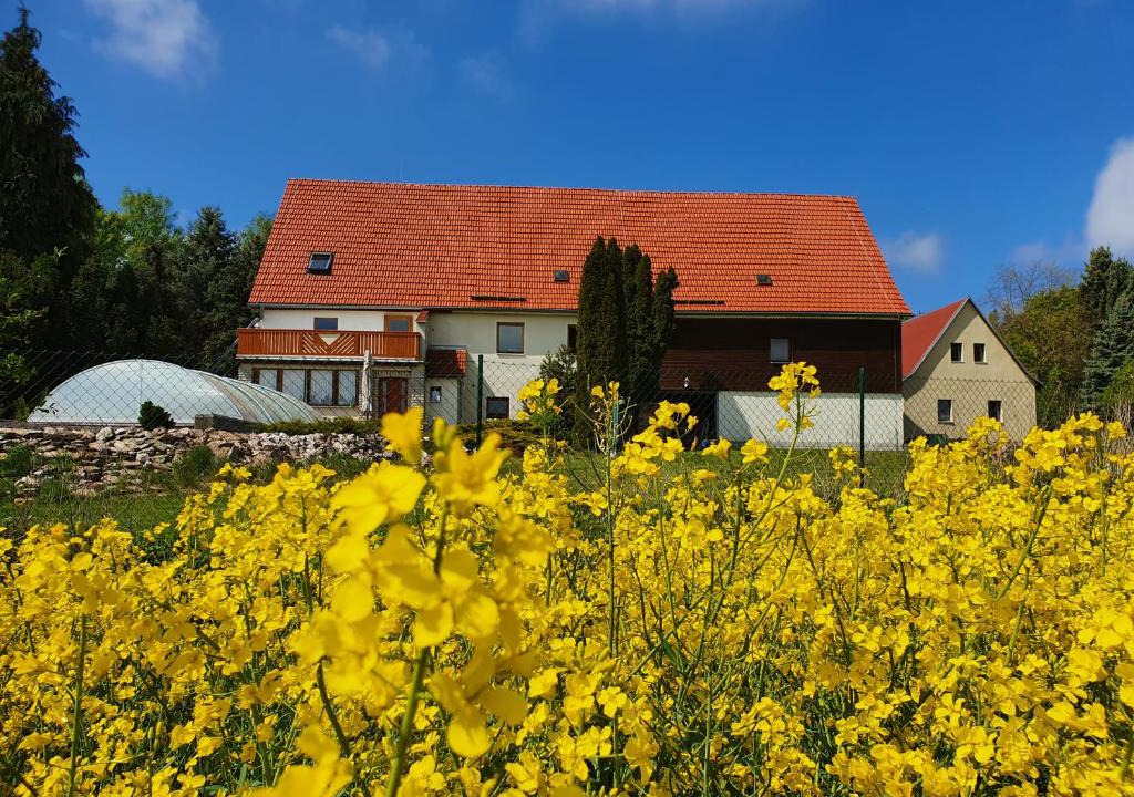 Berggieshubel House | Alte Schäferei Bad Gottleuba