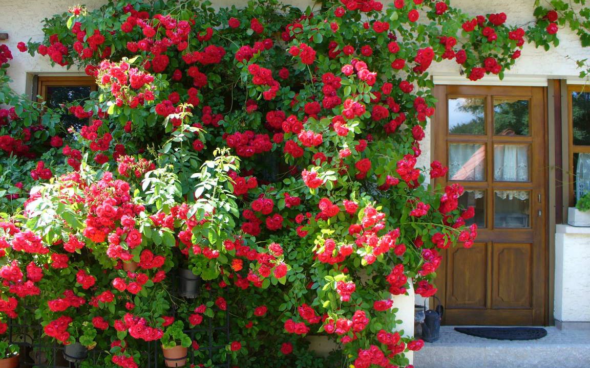 Marktrodach Apartment | Apartment ∙ 2 bedrooms ∙ 4 guests