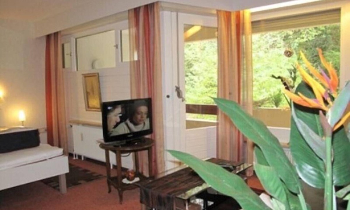 Bad Bellingen Apartment | Apartment Appartement 120