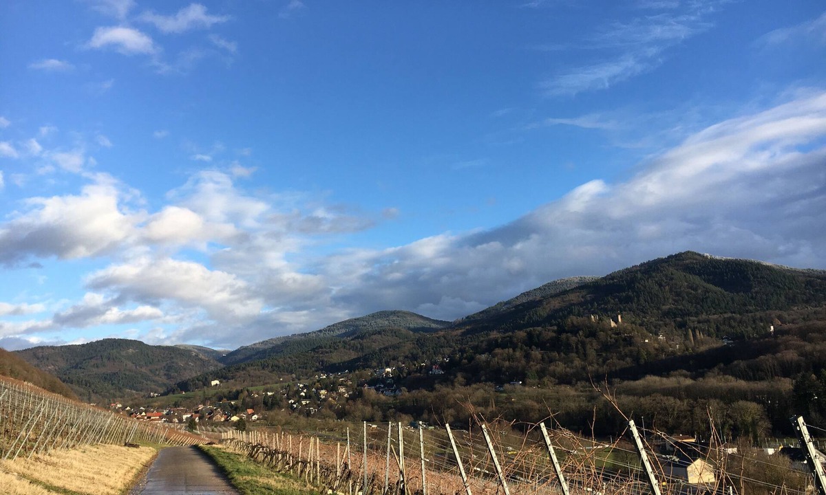 Badenweiler Apartment | Apartment at the park of the senses