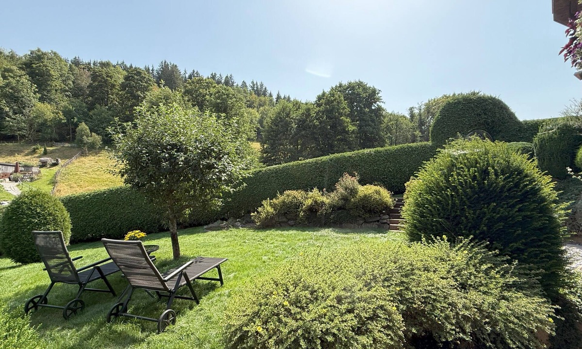Lenzkirch Apartment | Apartment 'Boutique' with Mountain View, Private Terrace and Wi-Fi