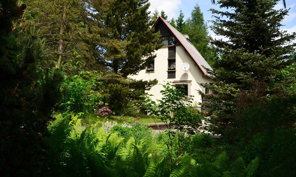 Altenberg Apartment | Apartment in the Gründeltal; Idyllic location; Nature reserve Weißeritzwiesen