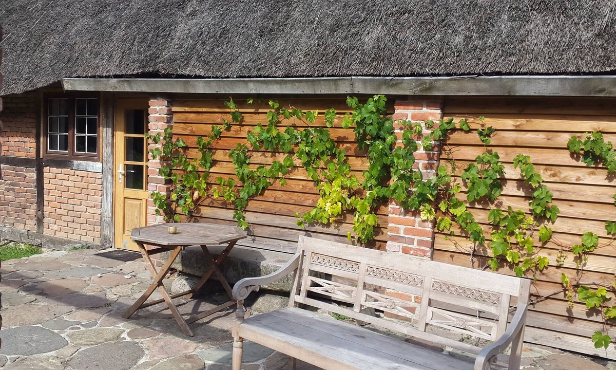 Kalkhorst Apartment | Apartment on the Baltic Sea in the beautiful Leonora forest