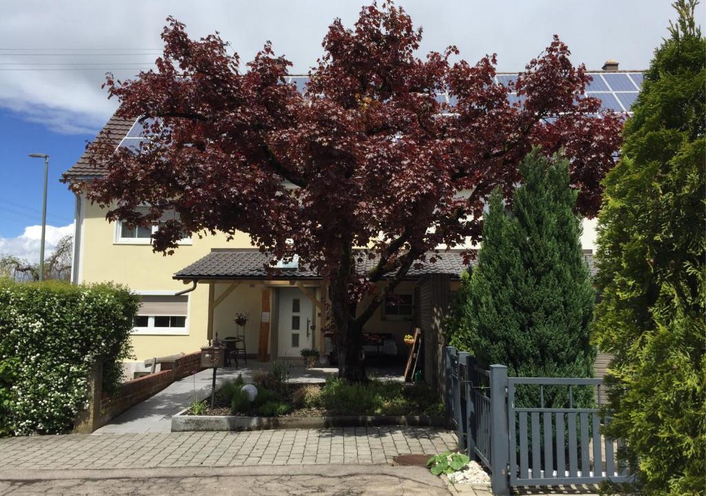 Illertissen Apartment | Apartmentvermietung Ingrid Bolkart - Vöhlino 2