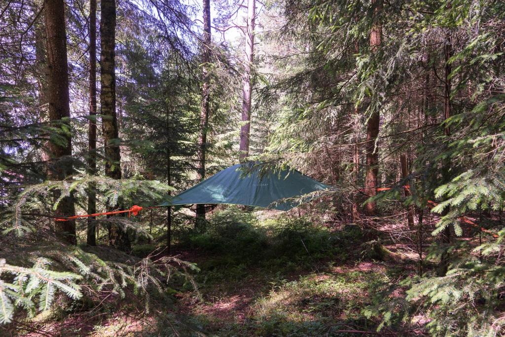 Regen Bed & Breakfast | Baumzelt im Wald