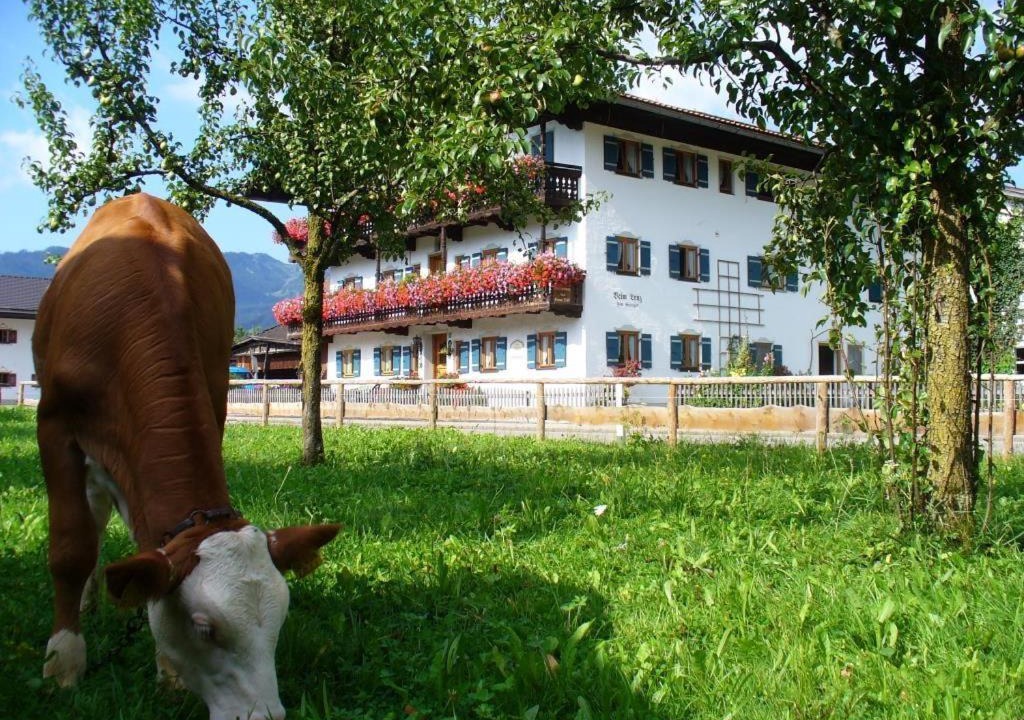 Schleching House | Beim Lenz