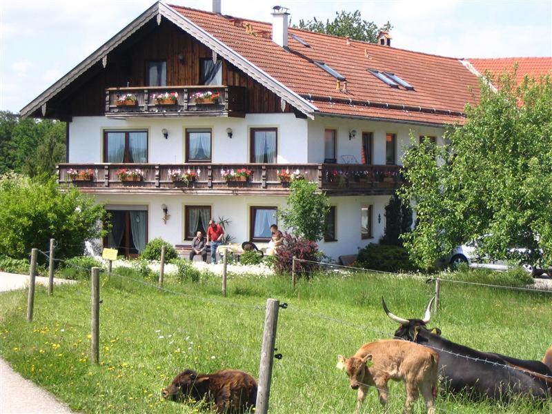 Seeon-Seebruck Apartment | Beim Rieder
