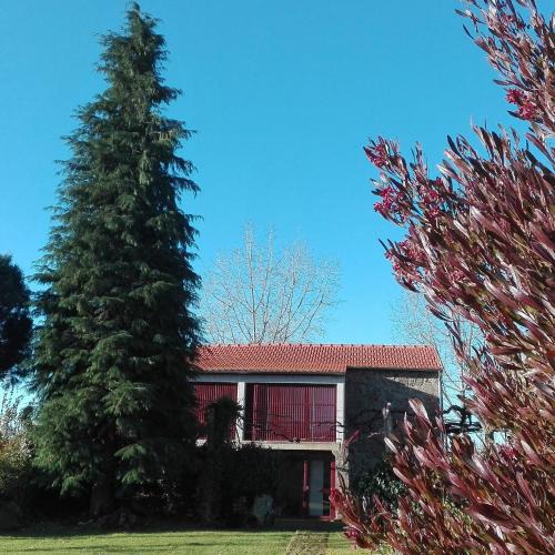 Paredes de Coura House | Casa do Cruzeiro