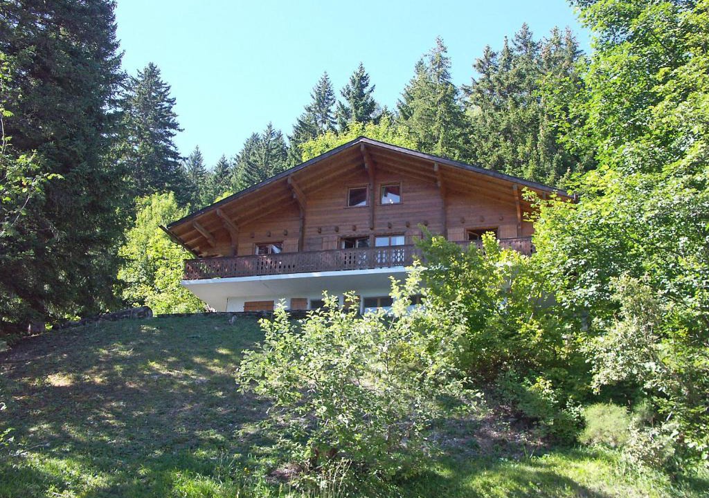 Anzere Ski Chalet | Chalet Arpille by Interhome