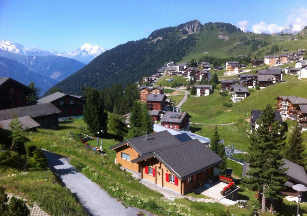 Riederalp Apartment | Chalet Enzian