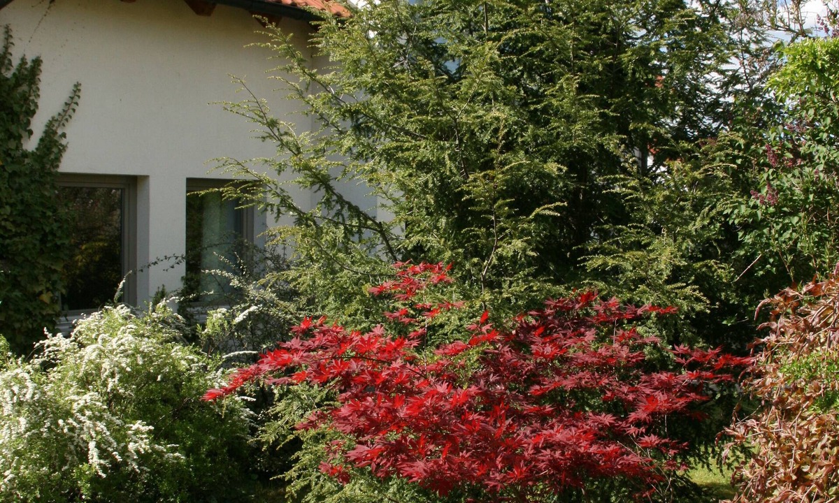 Kurort Gohrisch House | Detached, comfortably furnished holiday home with a wonderful garden