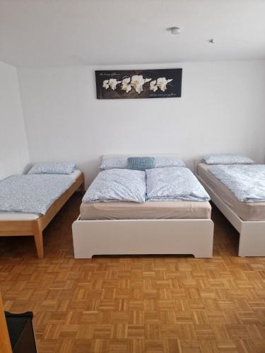 Waldshut-Tiengen Apartment | Einzimmerwohnung mit küche und Bad