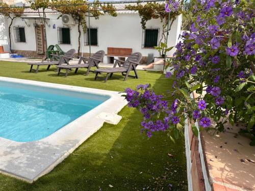 Archidona House | El Cortijo