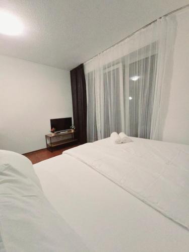 Amberg Apartment | Elahs Nod