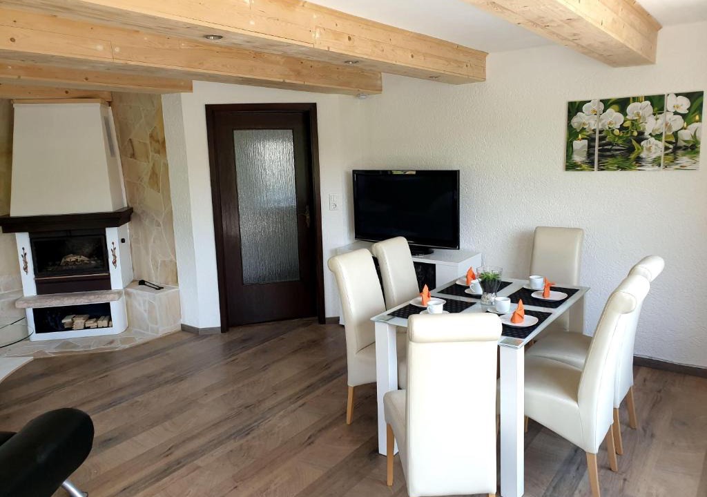 Konigstein an der Elbe Apartment | Elbblick-grosse-Loftwohnung-mit-Terasse-Sauna-und-Kamin