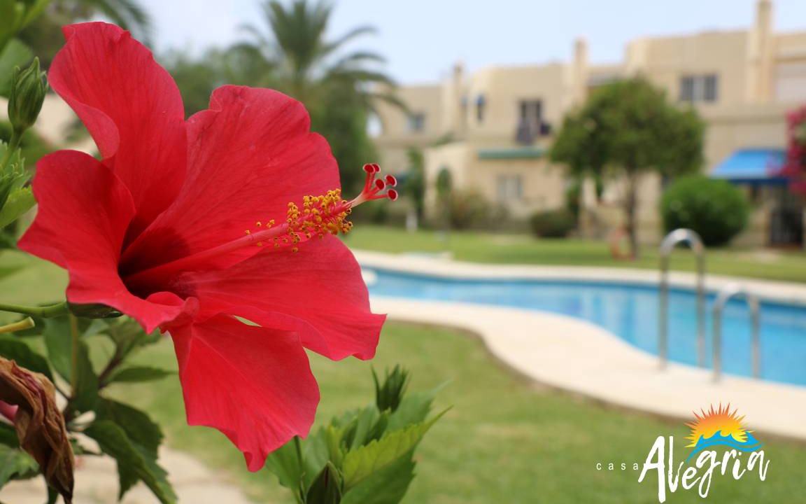 Vista de los Angeles-Rumina Apartment | 75 m² Apartment ∙ 2 bedrooms ∙ 4 guests