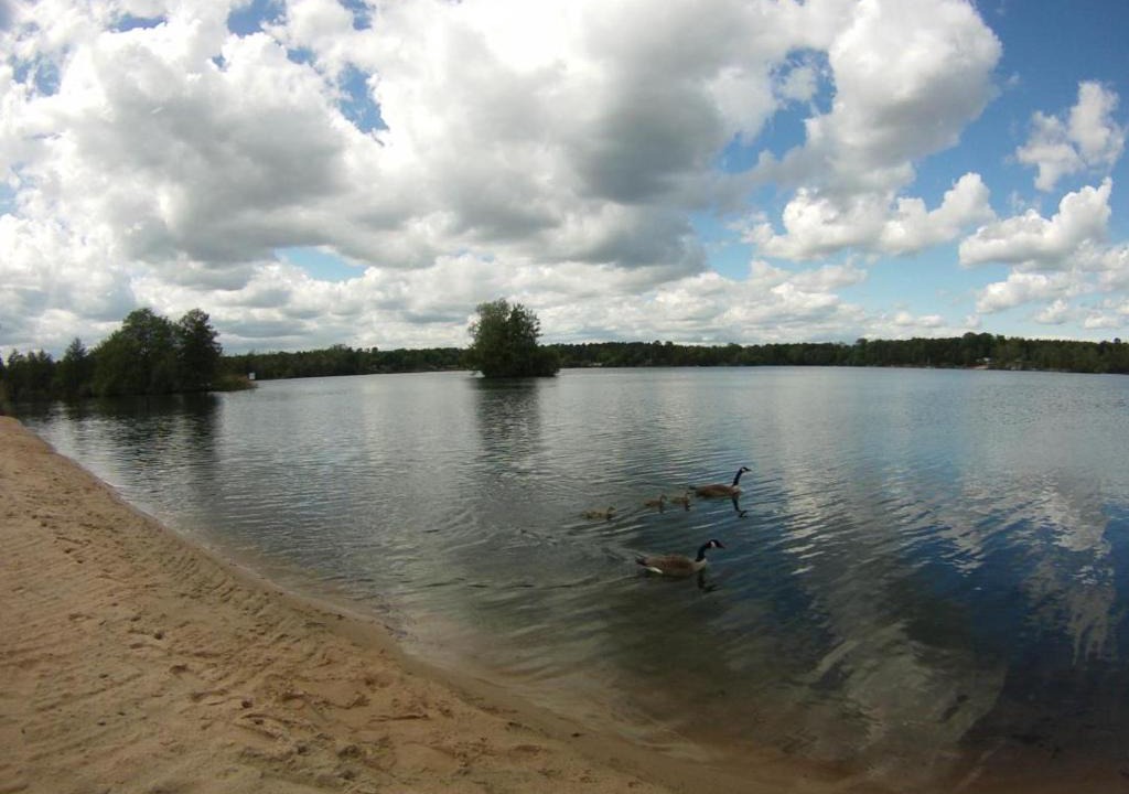 Kahl Apartment | ESSEN - Haus am See mit Sandstrand & Seeblick nahe Rhein-Main und Spessart