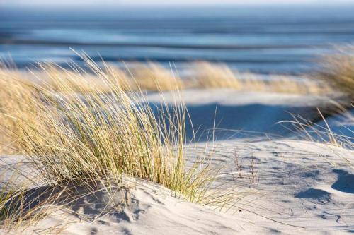 Bakenberg Other | Familienwohnzelt ZELT UND SAND direkt am Strand