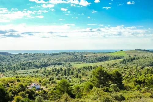 Vilanova d'Alcolea House | FARMSKY 2 Permaculture Paradise Double Room at WILDSPIRIT Eco Farm
