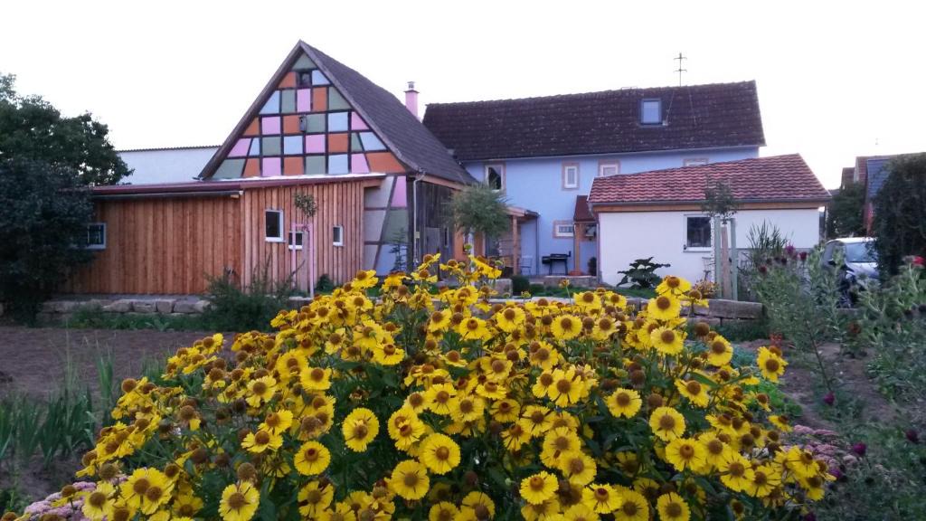 Kimmelsbach Apartment | Ferienhaus Kimmelsbacher Hof - Sauna & Naturpool