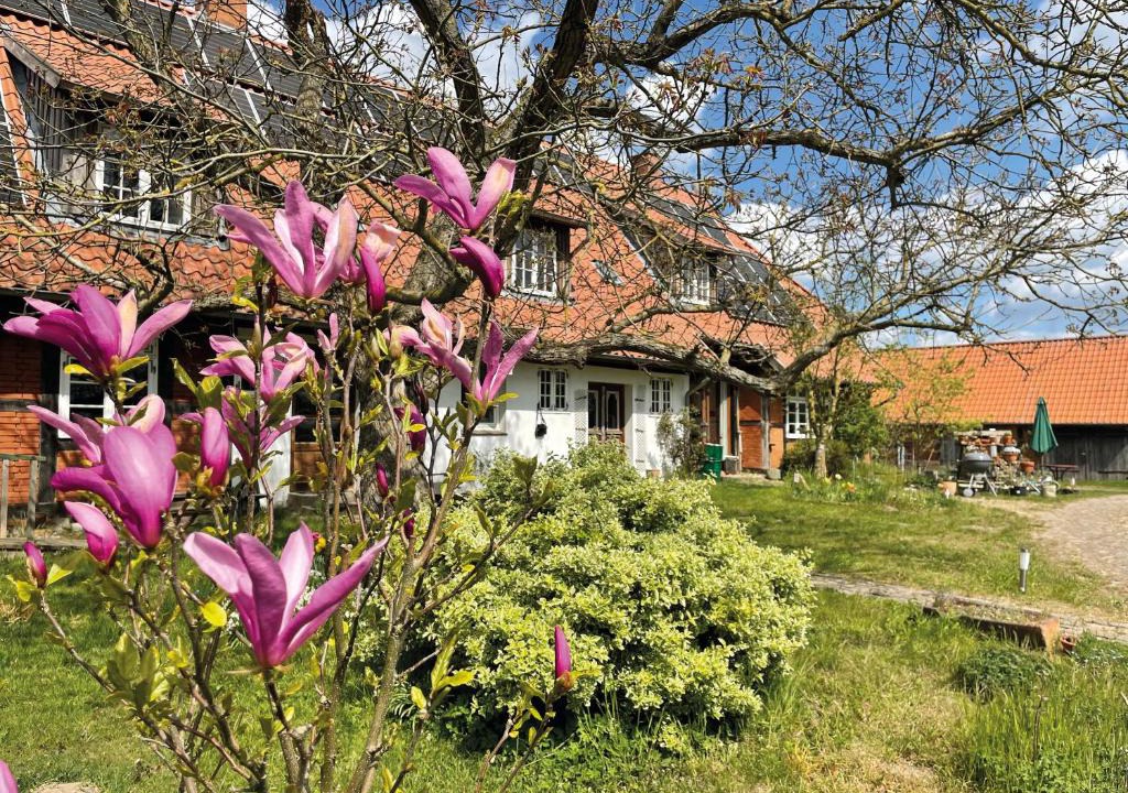 Wittendorp Apartment | Ferienhof Rauchhaus