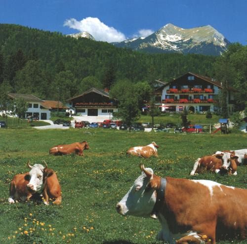 Kruen Hotel | Ferienhotel Barmsee