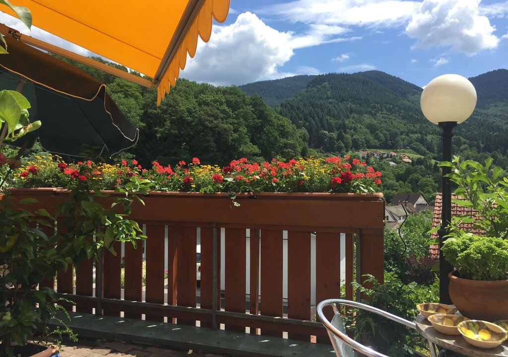 Schweighof Apartment | Ferienwohnung 70qm, 1 Schlafzimmer, max. 2 Personen