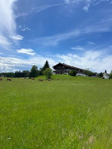 Otterfing Apartment | Ferienwohnung am Bauernhof
