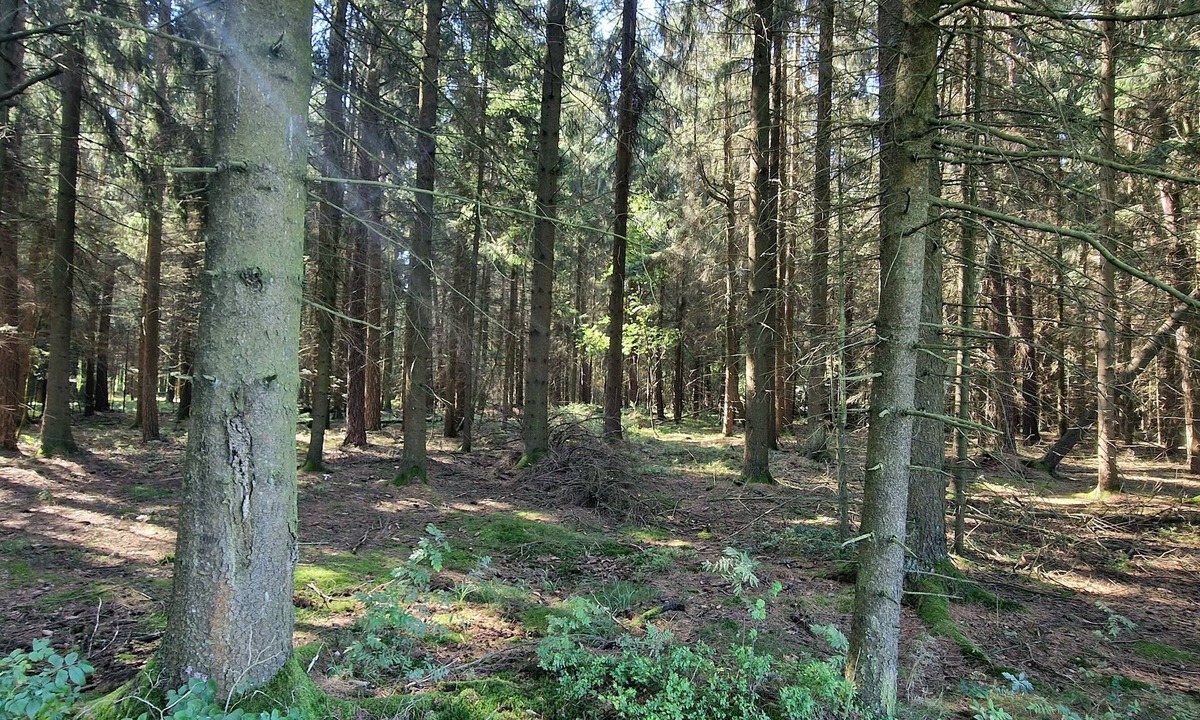 Pullenreuth Apartment | Ferienwohnung am Steinwald Radweg