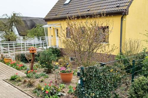 Balm Apartment | Ferienwohnung Balmer Wiesen